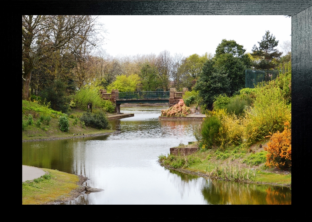 Stanley park lake Anfield